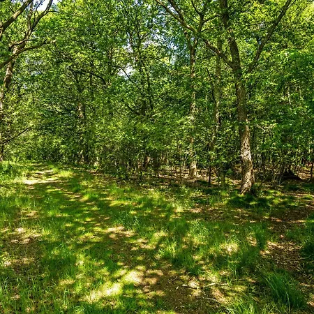 1 Bedroom Gorgeous In Feriehus